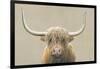 Highland Cow Neutral-James Wiens-Framed Art Print