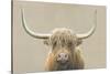 Highland Cow Neutral-James Wiens-Stretched Canvas