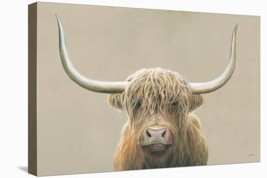 Highland Cow Neutral-James Wiens-Stretched Canvas
