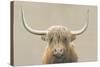 Highland Cow Neutral-James Wiens-Stretched Canvas