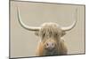 Highland Cow Neutral-James Wiens-Mounted Premium Giclee Print