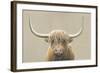 Highland Cow Neutral-James Wiens-Framed Art Print