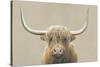 Highland Cow Neutral-James Wiens-Stretched Canvas