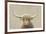 Highland Cow Neutral-James Wiens-Framed Art Print