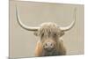 Highland Cow Neutral-James Wiens-Mounted Art Print