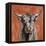 Highland Cow on Terracotta-Silvia Vassileva-Framed Stretched Canvas