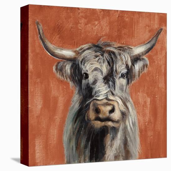 Highland Cow on Terracotta-Silvia Vassileva-Stretched Canvas