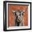 Highland Cow on Terracotta-Silvia Vassileva-Framed Art Print