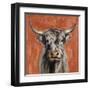 Highland Cow on Terracotta-Silvia Vassileva-Framed Art Print