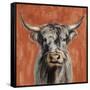 Highland Cow on Terracotta-Silvia Vassileva-Framed Stretched Canvas