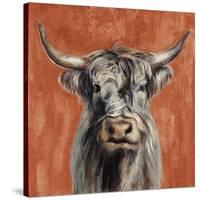 Highland Cow on Terracotta-Silvia Vassileva-Stretched Canvas