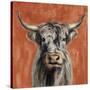 Highland Cow on Terracotta-Silvia Vassileva-Stretched Canvas