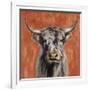 Highland Cow on Terracotta-Silvia Vassileva-Framed Art Print