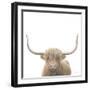 Highland Cow Sepia Sq-James Wiens-Framed Art Print