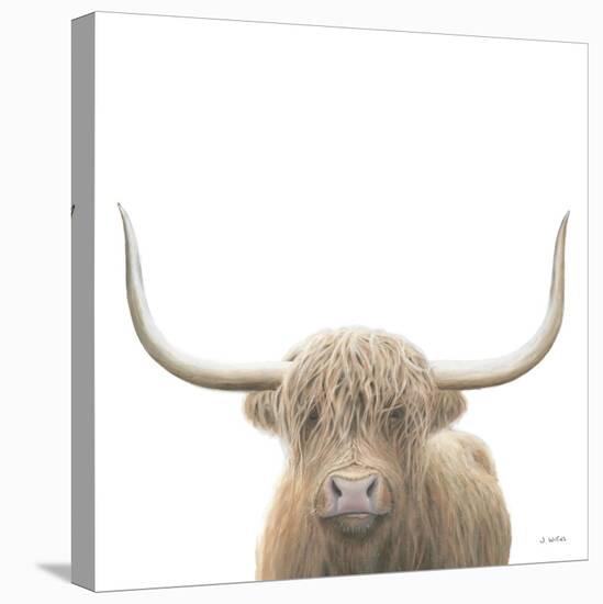 Highland Cow Sepia Sq-James Wiens-Stretched Canvas