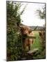 Highland Cow-Tek Image-Mounted Photographic Print