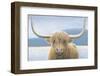 Highland Cow-James Wiens-Framed Photographic Print