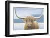 Highland Cow-James Wiens-Framed Photographic Print