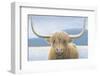 Highland Cow-James Wiens-Framed Photographic Print