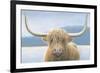 Highland Cow-James Wiens-Framed Photographic Print