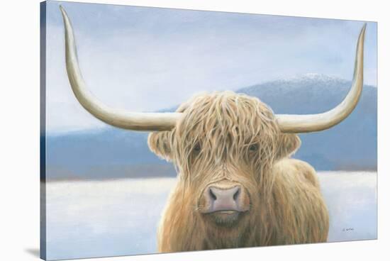 Highland Cow-James Wiens-Stretched Canvas