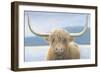 Highland Cow-James Wiens-Framed Photographic Print