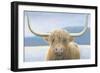 Highland Cow-James Wiens-Framed Photographic Print