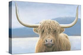 Highland Cow-James Wiens-Stretched Canvas