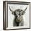 Highland Cow-Silvia Vassileva-Framed Art Print