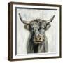 Highland Cow-Silvia Vassileva-Framed Art Print