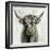 Highland Cow-Silvia Vassileva-Framed Art Print