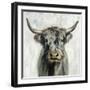 Highland Cow-Silvia Vassileva-Framed Art Print