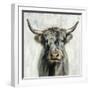 Highland Cow-Silvia Vassileva-Framed Art Print