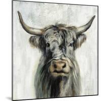 Highland Cow-Silvia Vassileva-Mounted Art Print