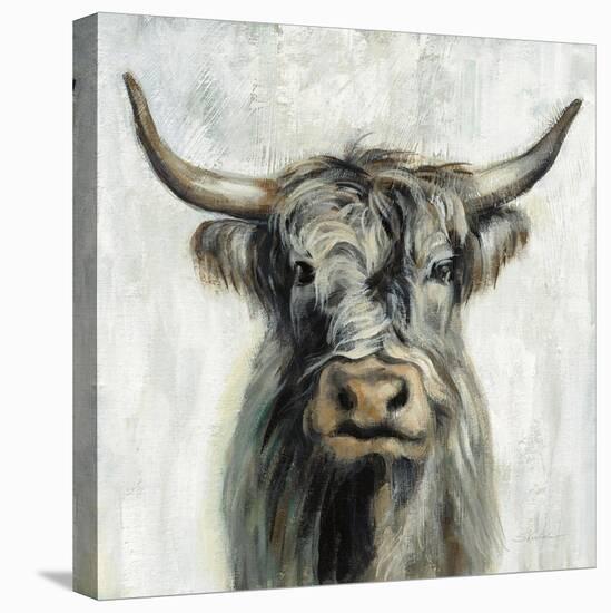 Highland Cow-Silvia Vassileva-Stretched Canvas