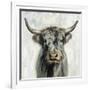 Highland Cow-Silvia Vassileva-Framed Art Print