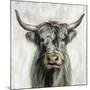 Highland Cow-Silvia Vassileva-Mounted Art Print