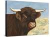 Highland Cow-Gwendolyn Babbitt-Stretched Canvas