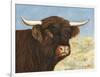 Highland Cow-Gwendolyn Babbitt-Framed Art Print