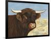 Highland Cow-Gwendolyn Babbitt-Framed Art Print