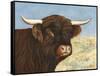 Highland Cow-Gwendolyn Babbitt-Framed Stretched Canvas