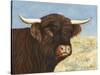 Highland Cow-Gwendolyn Babbitt-Stretched Canvas