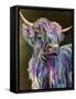 Highland Cow-Emma Catherine Debs-Framed Stretched Canvas