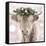 Highland Cow-Sarah Butcher-Framed Stretched Canvas