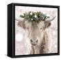 Highland Cow-Sarah Butcher-Framed Stretched Canvas