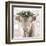 Highland Cow-Sarah Butcher-Framed Art Print