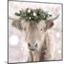 Highland Cow-Sarah Butcher-Mounted Art Print