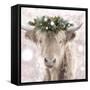 Highland Cow-Sarah Butcher-Framed Stretched Canvas