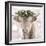 Highland Cow-Sarah Butcher-Framed Art Print