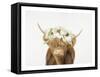 Highland Cow-Leah Straastma-Framed Stretched Canvas